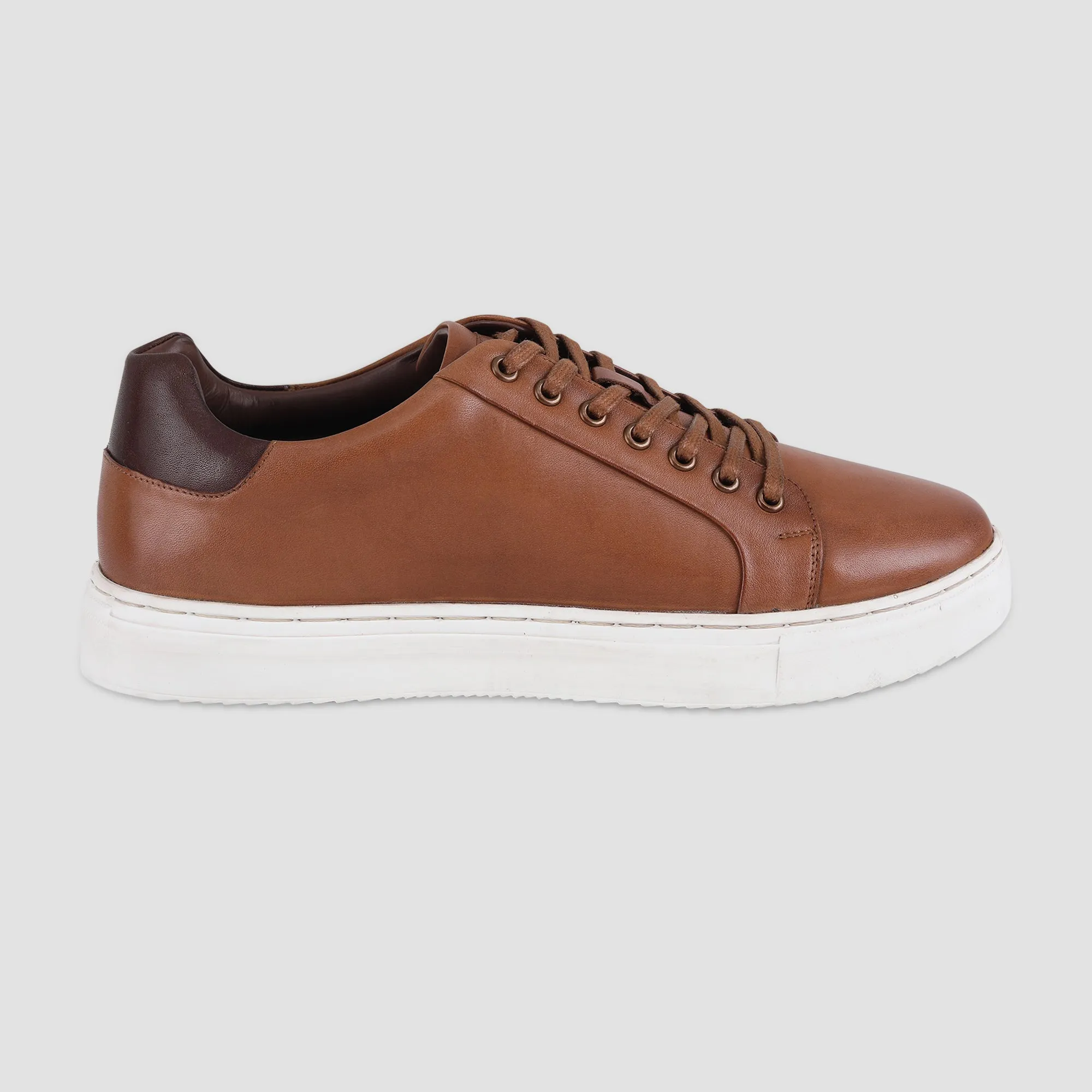 Ezok Tan Leather Sneaker For Men